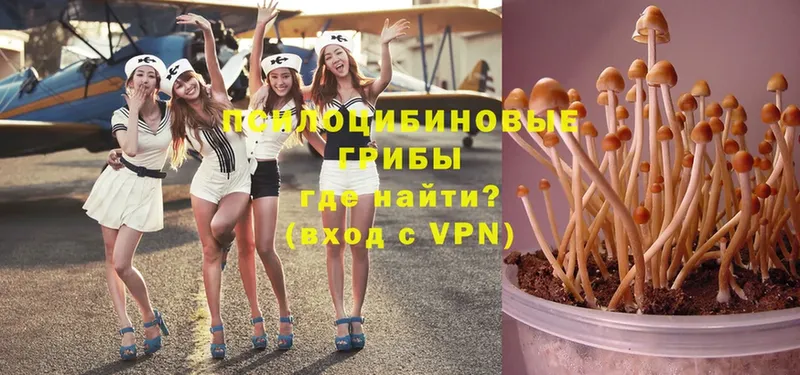 Псилоцибиновые грибы Magic Shrooms  ОМГ ОМГ рабочий сайт  Костомукша 